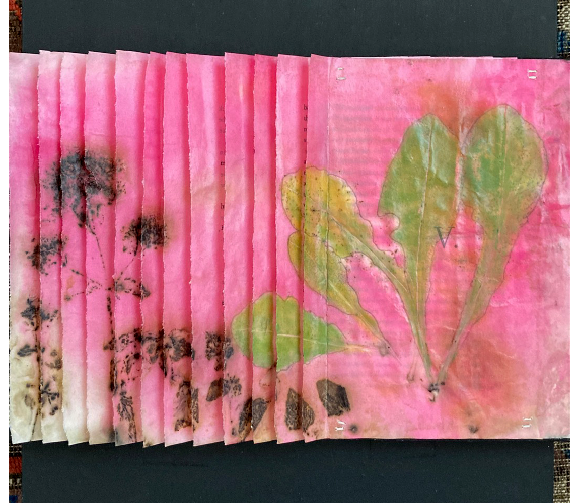 "Not Time for Caution!" - Helga Winter | PNW Fine Art & Craft Mixed Media | Olympia, WA Fine Art and Craft, since 1971